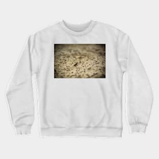 The Second Micro Toad on the Road Crewneck Sweatshirt